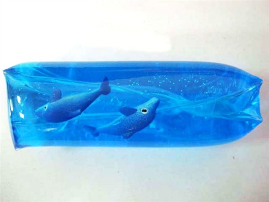 Two dolphins