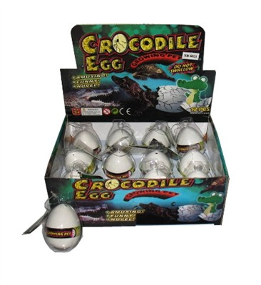 Expansion of crocodile eggs