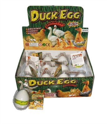 Expansion of chicken and duck eggs