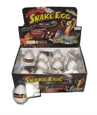 Expansion of snake eggs