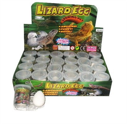 Of bottled expansion lizard eggs