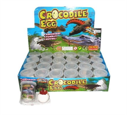 Of bottled expansion crocodile eggs