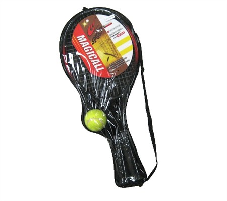 Tennis racket with the ball