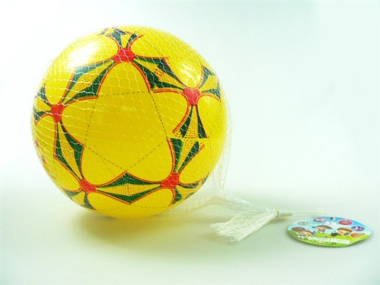 8.5 Inch color print ball