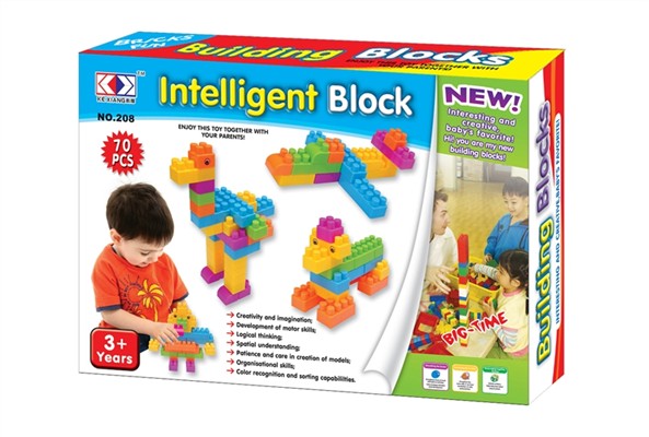 Puzzle blocks (70pcs)