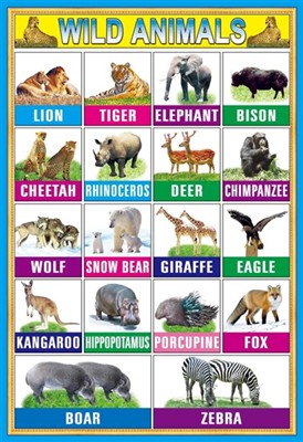 Early education animal wall charts 1