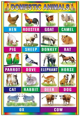 Early education animal wall charts 2