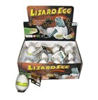 Expansion of lizard eggs