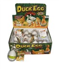 Expansion of chicken and duck eggs