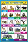 Early education animal wall charts 1