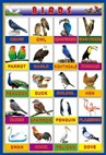 Early education animal wall charts 3