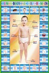 Early education in human organs wallcharts 1