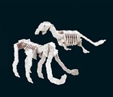 Mammoth bone (360pcs)